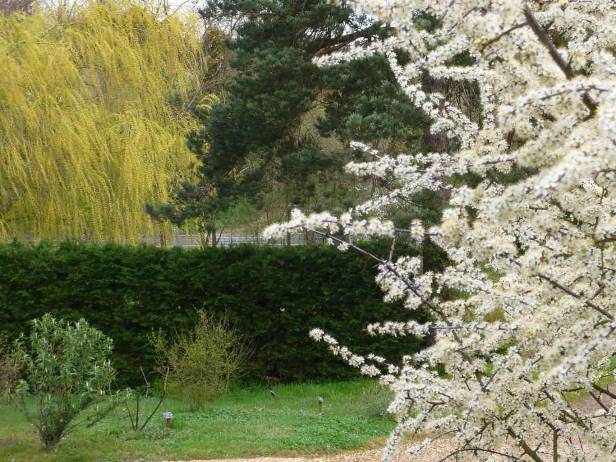 Gîte Les Jardins de Terrefort Saumur Eksteriør billede