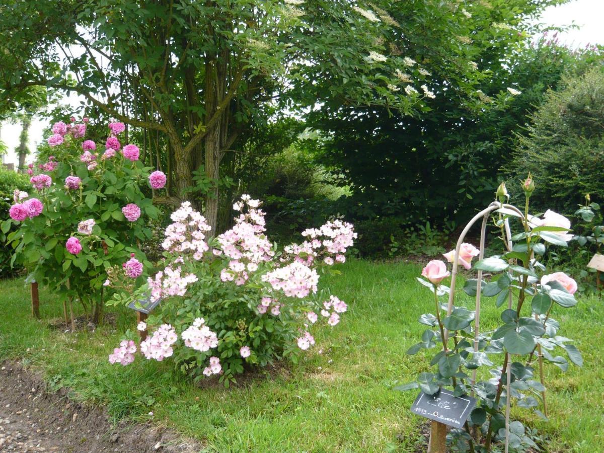 Gîte Les Jardins de Terrefort Saumur Eksteriør billede