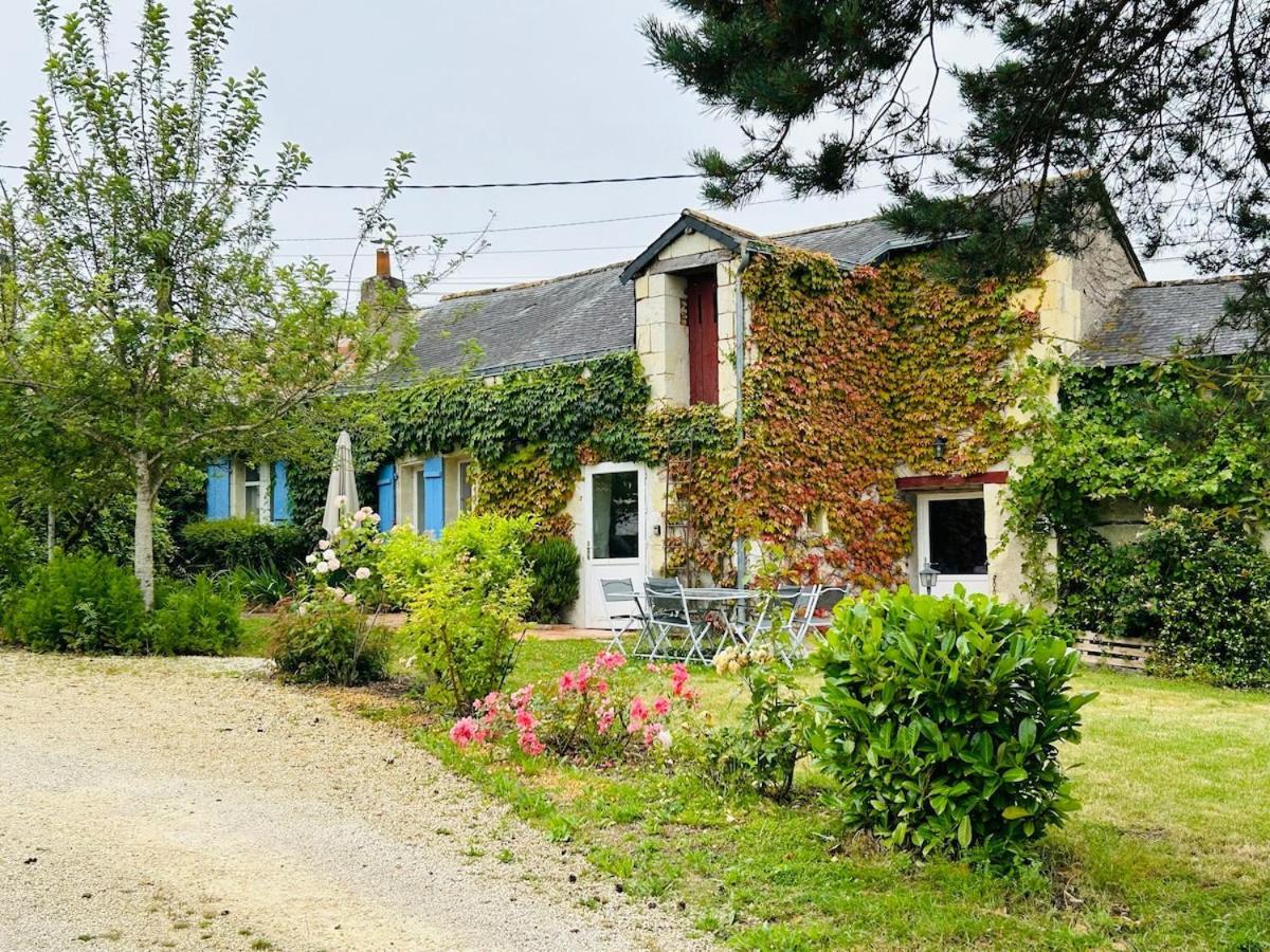 Gîte Les Jardins de Terrefort Saumur Eksteriør billede